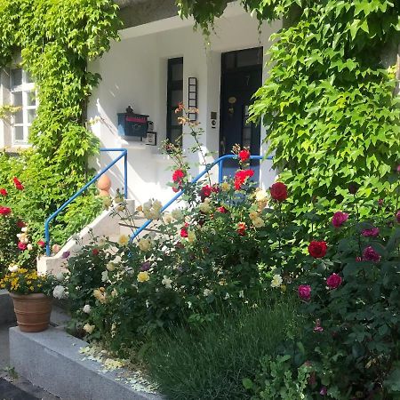 Kunsthaus Mit Gartensauna Dierdorf Eksteriør bilde
