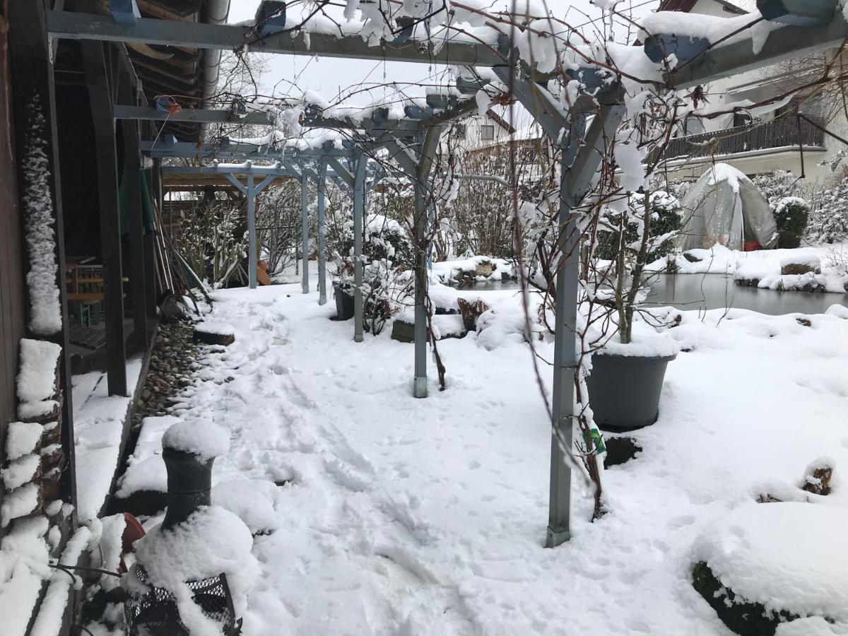 Kunsthaus Mit Gartensauna Dierdorf Eksteriør bilde